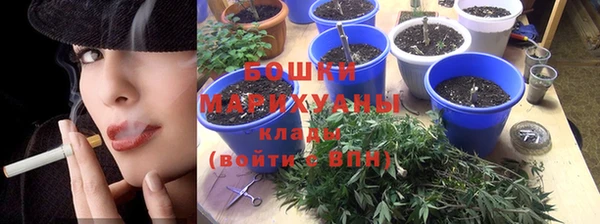 mdpv Каменногорск