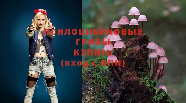 бутират Каменск-Шахтинский